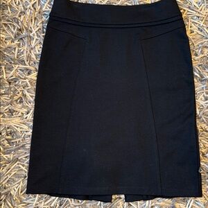 New York & Co Skirt